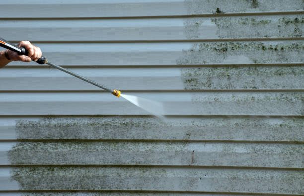 Best Roof Pressure Washing  in Jefferson, MD